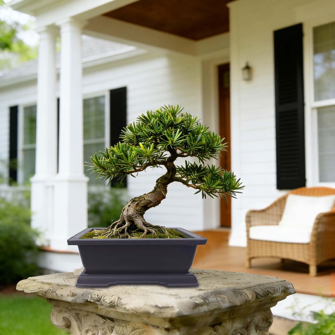 MUZHI 6PCS/Pack Retro Style Basin Plastic Flower Pot 6.5 Inch Flower Bonsai Tree Plant Bowl Nursery Pots Maceta Cuadrada Simulational Purple Sands Pots with Tray Rectangle Small