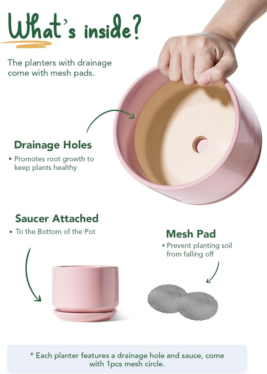 LE TAUCI Ceramic Plant Pots, 4.3+5.3+6.8 inch, Set of 3, Planters with Drainage Hole and Saucer, Indoor Flower Pot with Hole Mesh Pad, Gifts for Mom