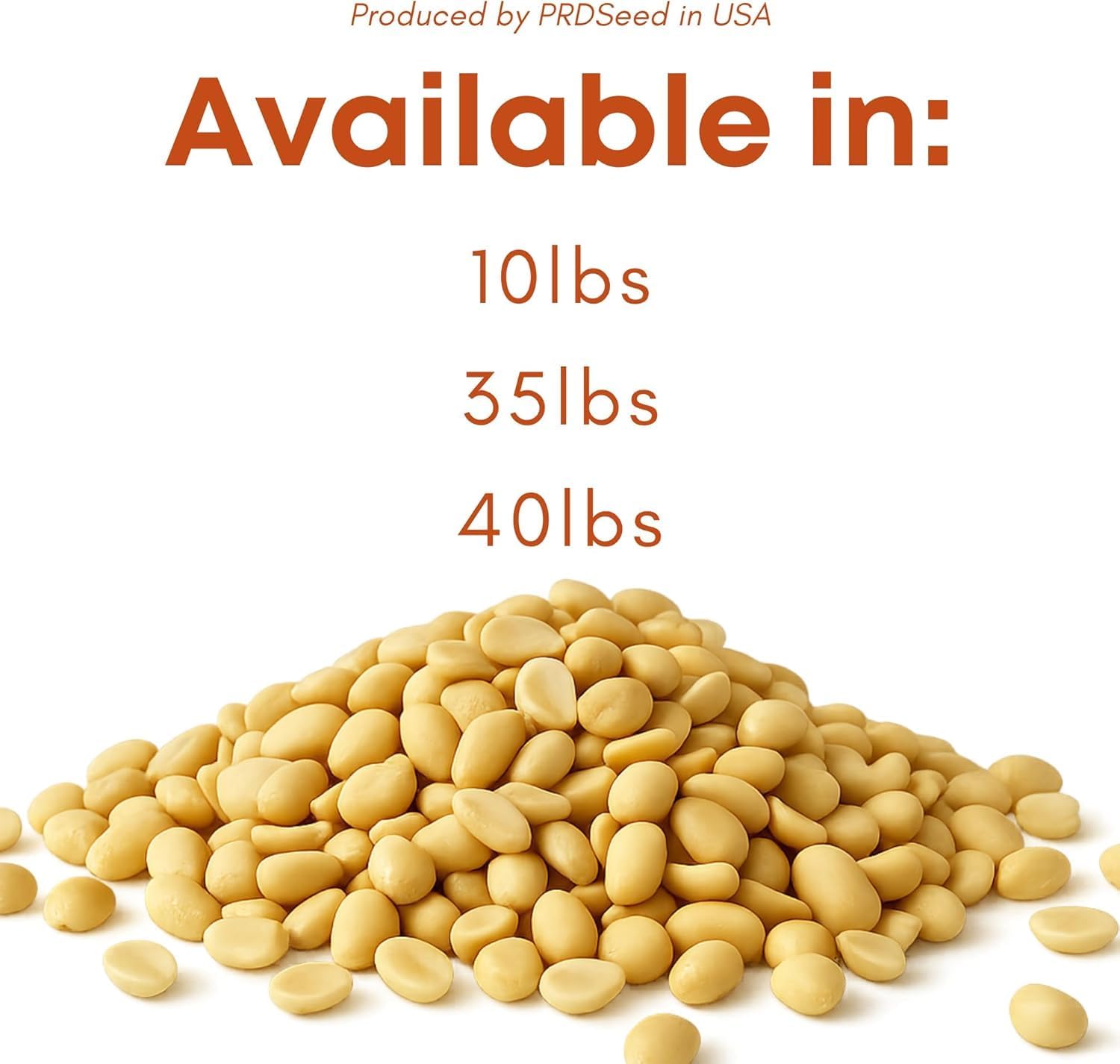 Fresh Shelled Peanuts for Birds & Squirrels - Raw Wildlife Peanuts, No Mess Bird Seed, No Waste Bird Seed for Wild Birds & Backyard Squirrels (10lbs)