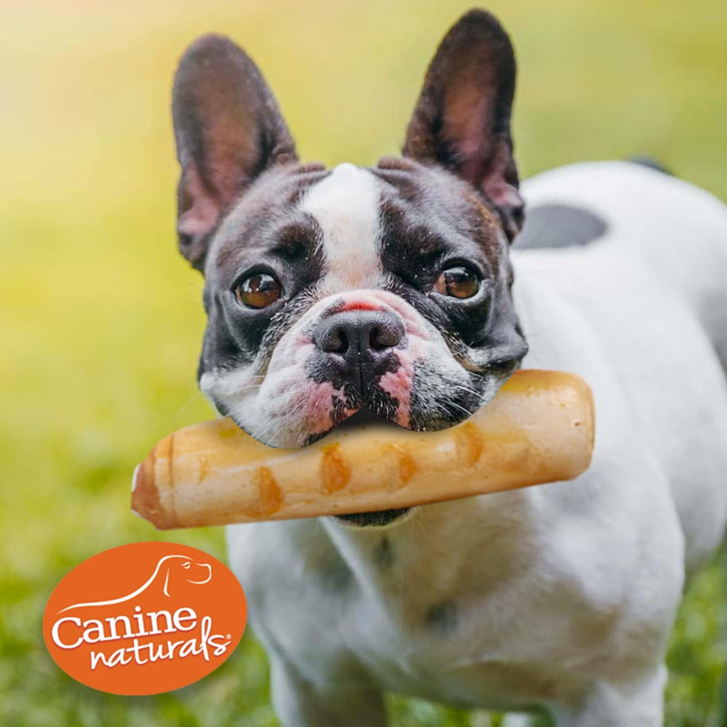 Canine Naturals Rawhide Free Chicken Recipe Dog Chews, Mini Rolls, 6 Count