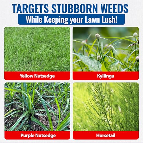 Sedgehammer 51516 Nutsedge Herbicide | Kills Yellow and Purple Nutsedge, Green Kyllinga, Selective Weed Killer for Lawns, Gardens and Landscapes