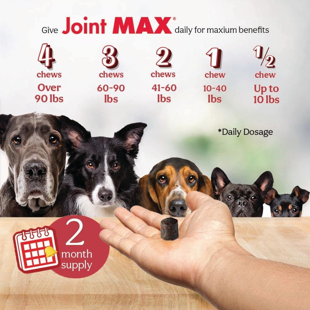 TS Joint Supplement Vet Formulated Pain & Inflammation Relief Treats Hip Dysplasia & Arthritis.Glucosamine, Chondroitin, Turmeric, MSM, HA, Creatine, Omega 3 EPA+DHA. All Dogs 240 Soft Chews