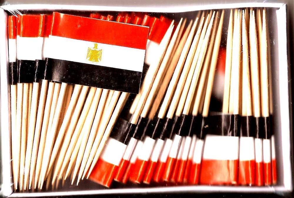 One Box of 100 Nicaragua Toothpick Flags, 100 Small Mini International Flag Cupcake Toothpicks or Cocktail Picks