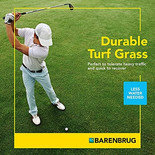 Barenbrug Turf Blue Pro Kentucky Bluegrass Lawn Seed with Yellow Jacket Seed Coating, All-Season Durable Grass Mix for Lawns, 25-lb. Bag