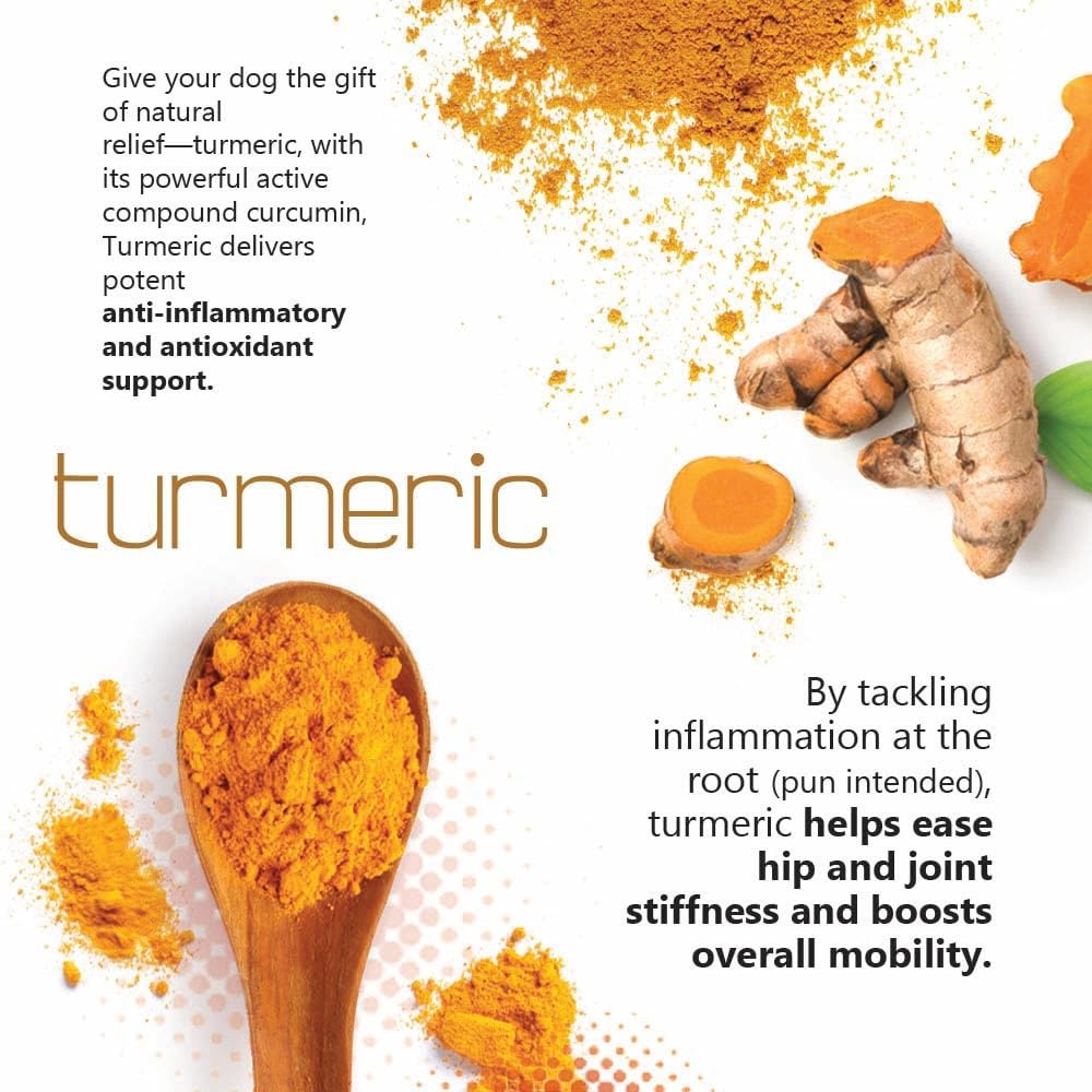 TS Joint Supplement Vet Formulated Pain & Inflammation Relief Treats Hip Dysplasia & Arthritis.Glucosamine, Chondroitin, Turmeric, MSM, HA, Creatine, Omega 3 EPA+DHA. All Dogs 240 Soft Chews