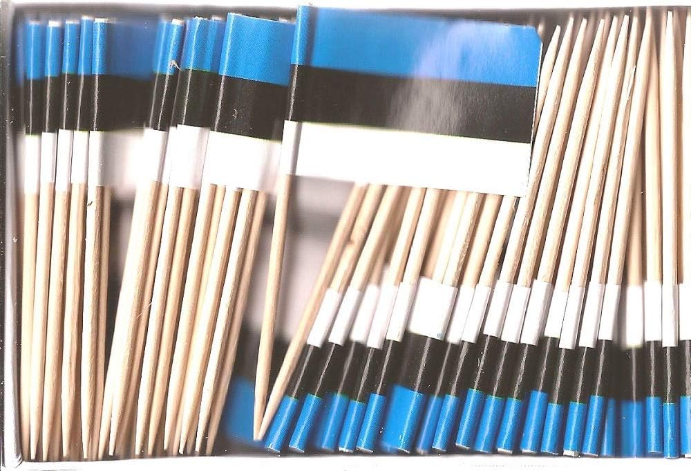 One Box of 100 Nicaragua Toothpick Flags, 100 Small Mini International Flag Cupcake Toothpicks or Cocktail Picks