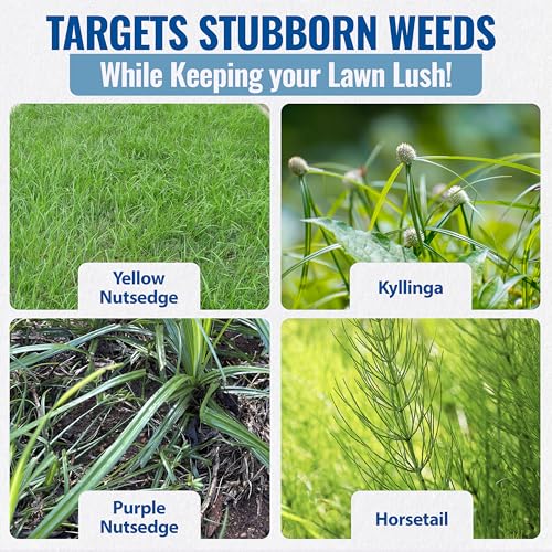 Sedgehammer Plus Turf Herbicide, Purple & Yellow Nutsedge Killer (1) | Lawns with Pre-Mixed Surfactant, Lawn & Pet Safe Weed Killer Mix for Residential Use
