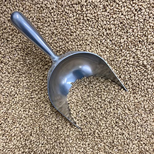 Granite Mill Farms Organic Sprouted Soft White Wheat Berries, 30 OZ