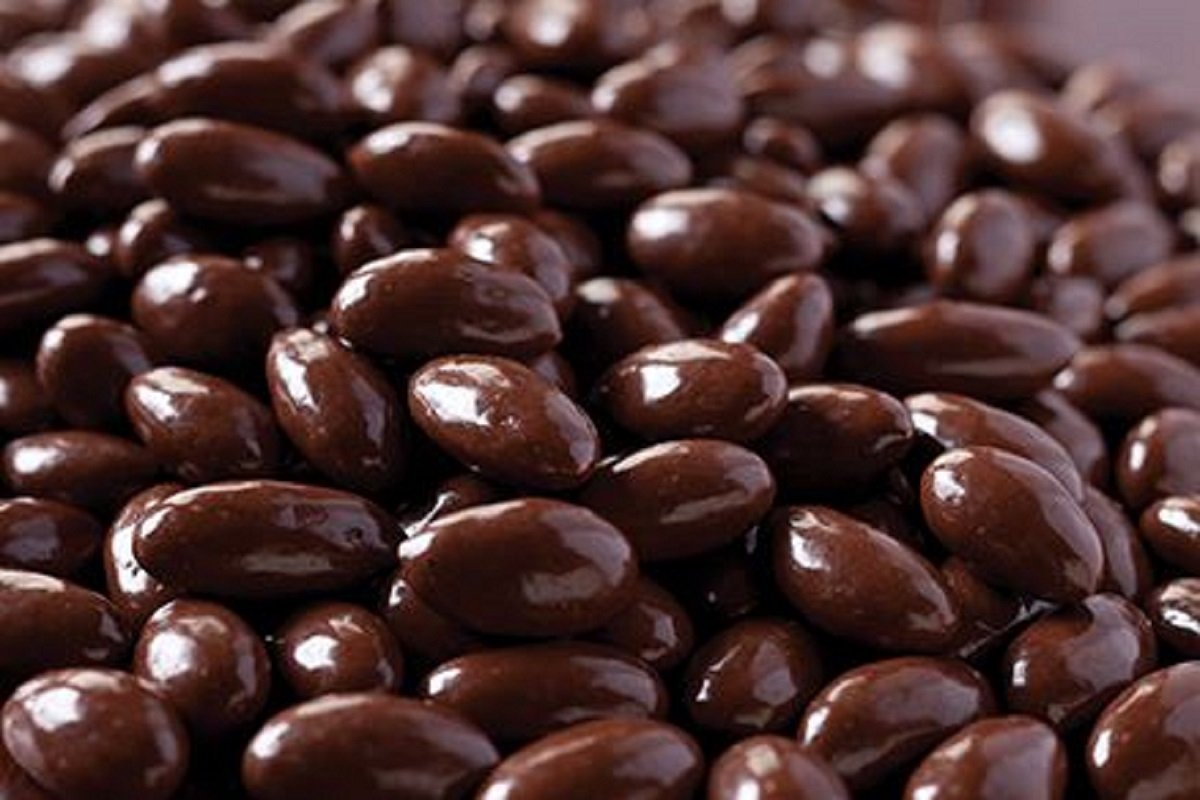 Gourmet Dark Chocolate Covered Almonds by Its Delish, 1 lb Bulk Bag | Almond Nuts Dipped Chocolates Healthy Candy Snacks | Dairy Free, Vegan, Kosher