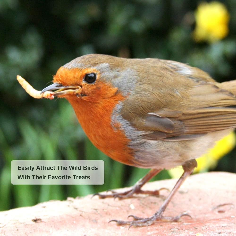 20lb Dried Mealworms for Chickens Duck High Protein Birds Treat