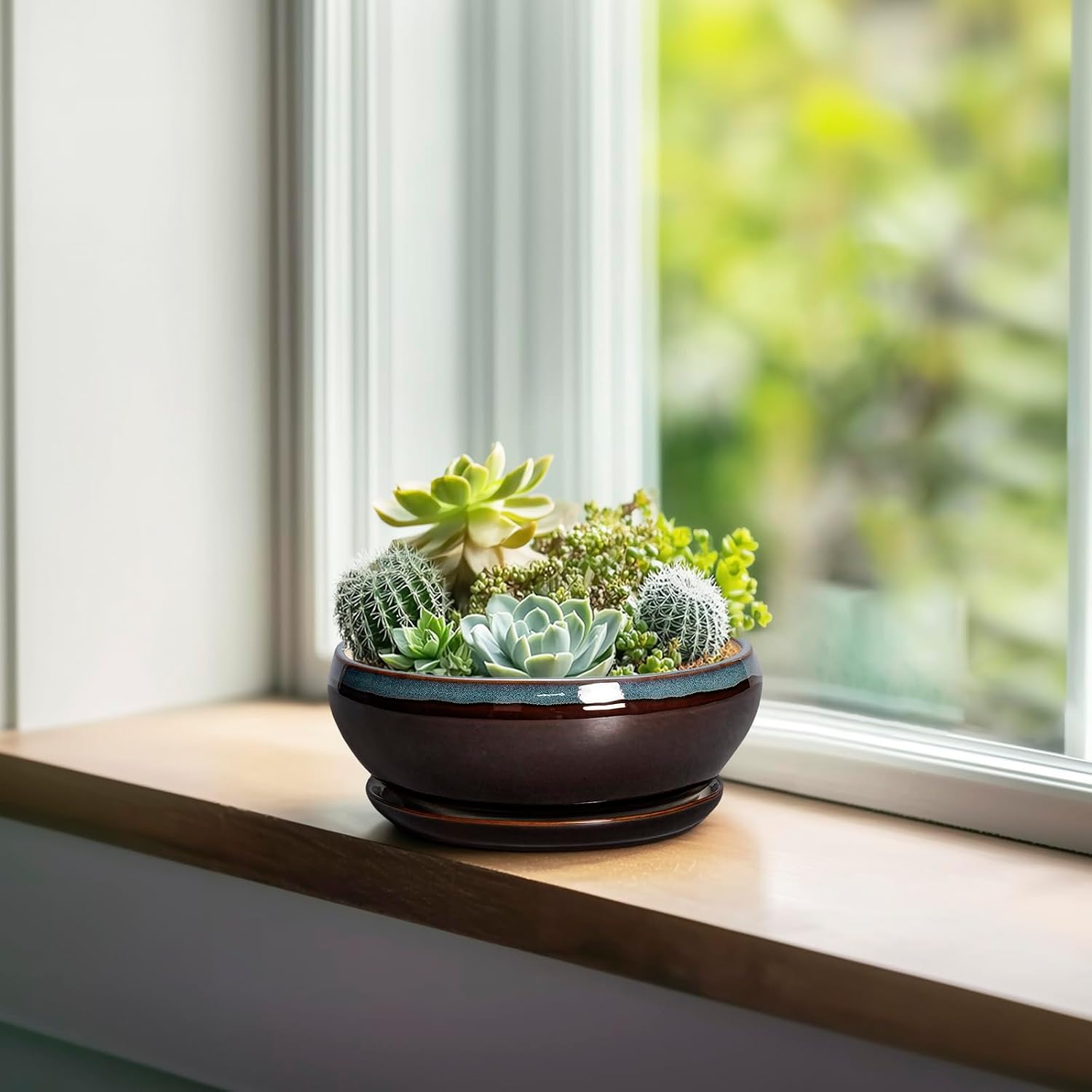 SQOWL 7 Inch Round Ceramic Succulent Planter Pot Drip Glazed Shallow Planter with Drainage Bamboo Tray for Indoor Plants