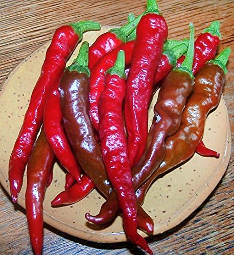 30 Italian Jimmy Nardello's Sweet 12 in. Long Pepper Seeds Heirloom Non-GMO | Prolific, Juicy, Delicious From USA Capsicum annuum
