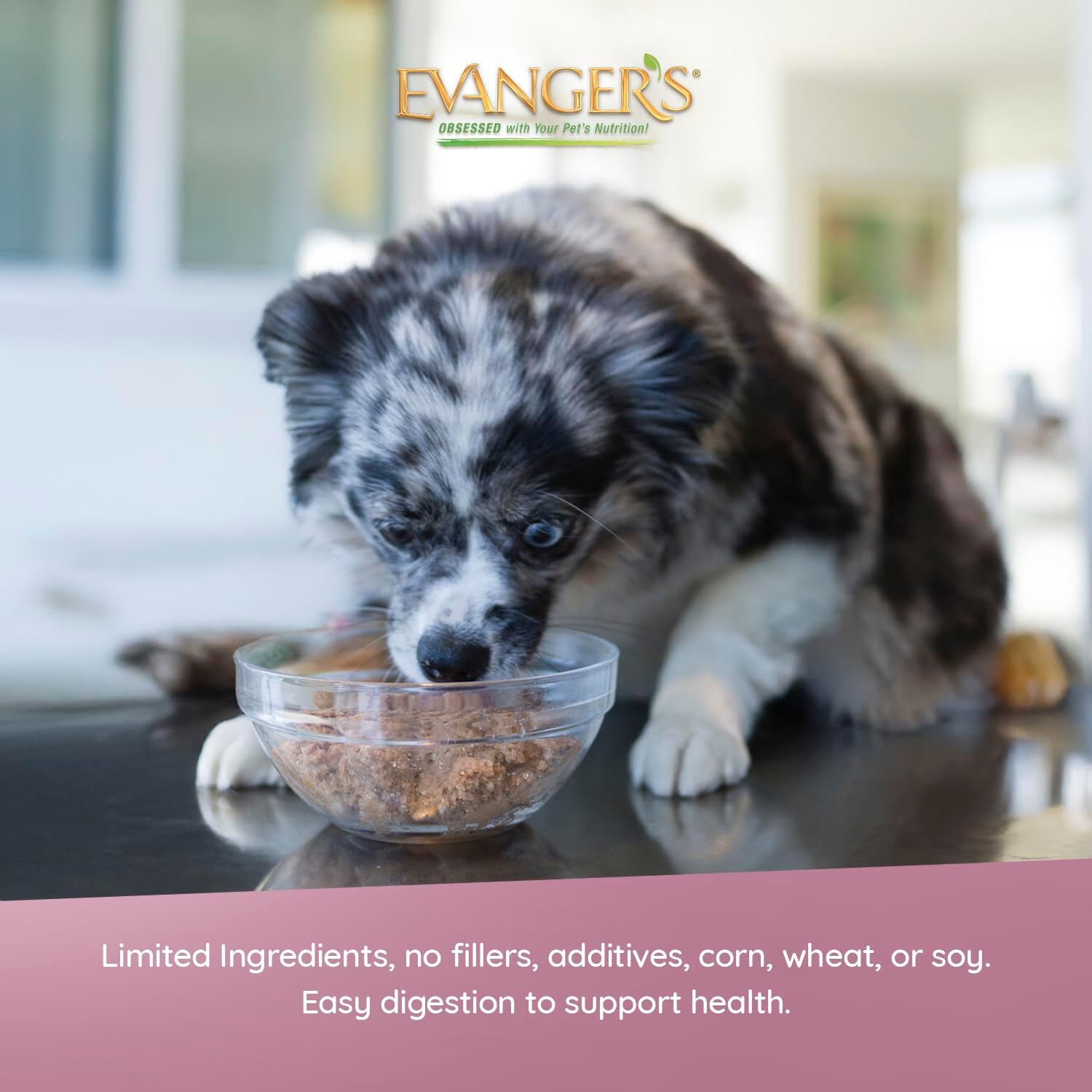 Evanger's Heritage Classic Puppy Food – 12 Count, 12.5 oz Each – Tasty Meat-Based Formula for Puppies & Underweight Dogs – Added Vitamins & Chelated Trace Minerals – Grain & Gluten Free