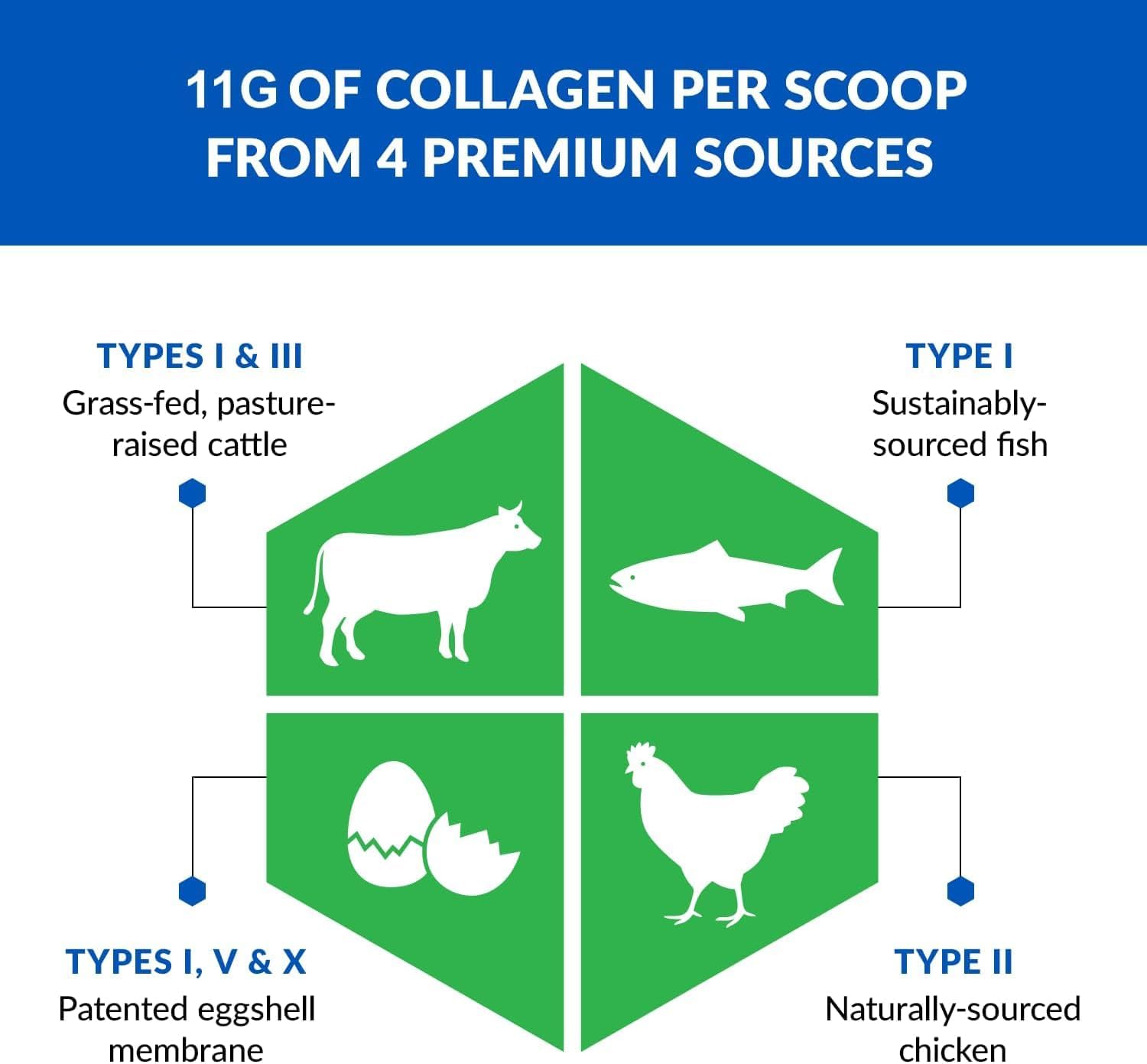 BioTrust Multi Collagen Peptides Unflavored Powder - Hydrolyzed, Grass Fed | 5 collagen types (I, II, III, V & X) from grass fed beef, fish, chicken & eggshell membrane with protein support