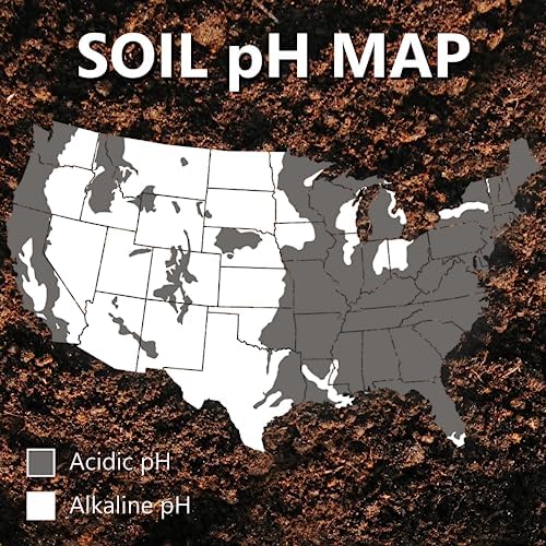 Jonathan Green (11354) Mag-I-Cal Plus Soil Food for Lawns in Acidic & Hard Soils - Soil Amendment for Grass (5,000 Sq. Ft.)