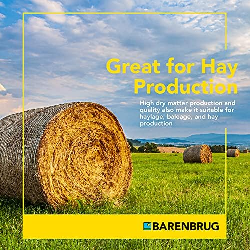 Barenbrug Horsemaster Premium Pasture Grass Seed Mix (25 LB Bag)