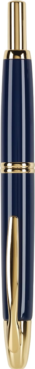 PILOT Vanishing Point Collection Refillable & Retractable Fountain Pen, Matte Black Barrel, Blue Ink, Fine Nib (60580)