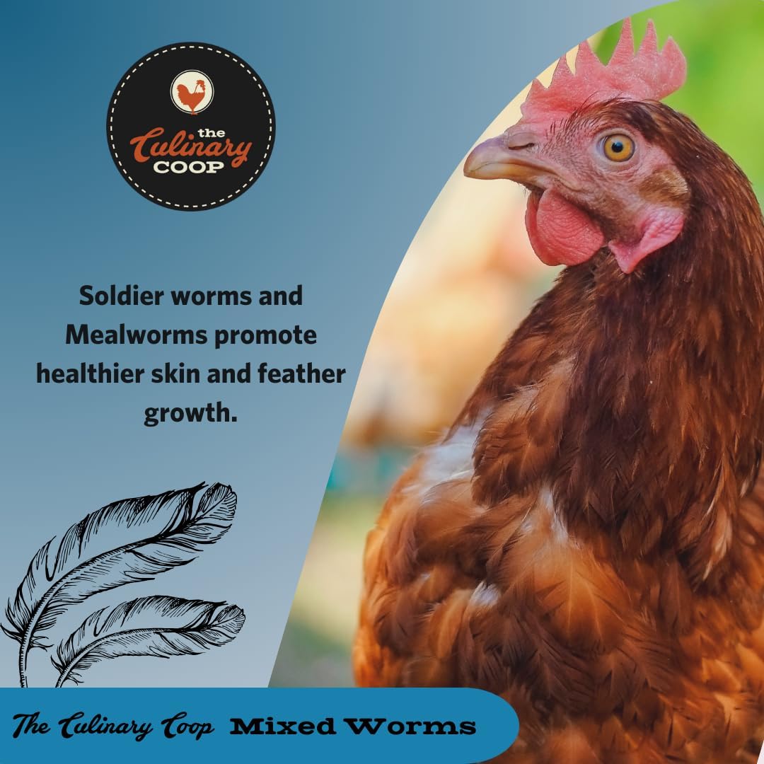 Fluker's Culinary Coop Premium Chicken Treats, Dried Soldier Worms, Packed with Protein and Calcium, 100% Natural Rich Grubs for Chicken, Backyard Birds, and Reptiles, 16 oz