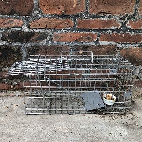Gingbau Squirrel Trap Foldable Heavy Duty Humane Live Animal Cage Trap (Not for Mouse)