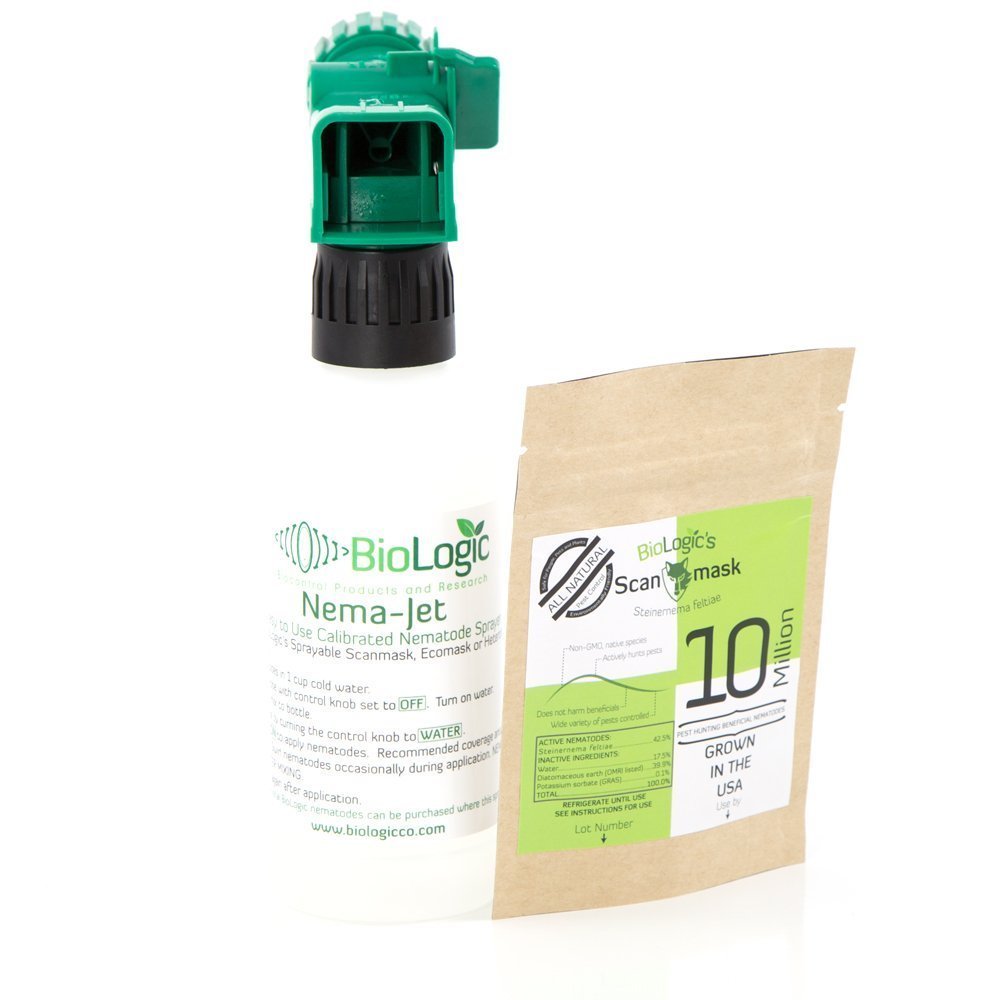 BioLogic's Scanmask Beneficial Nematodes, Steinernema feltiae Sf Nematodes for Natural Insect Pest Control (10 Million)