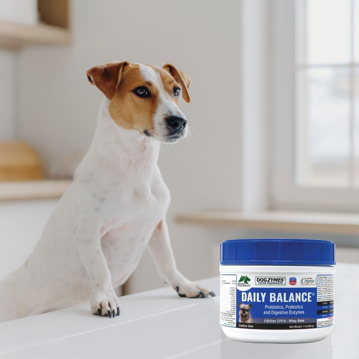 DOGZYMES Dissolvable Powder Digestive Enhancer for Dogs, (8 Ounce)