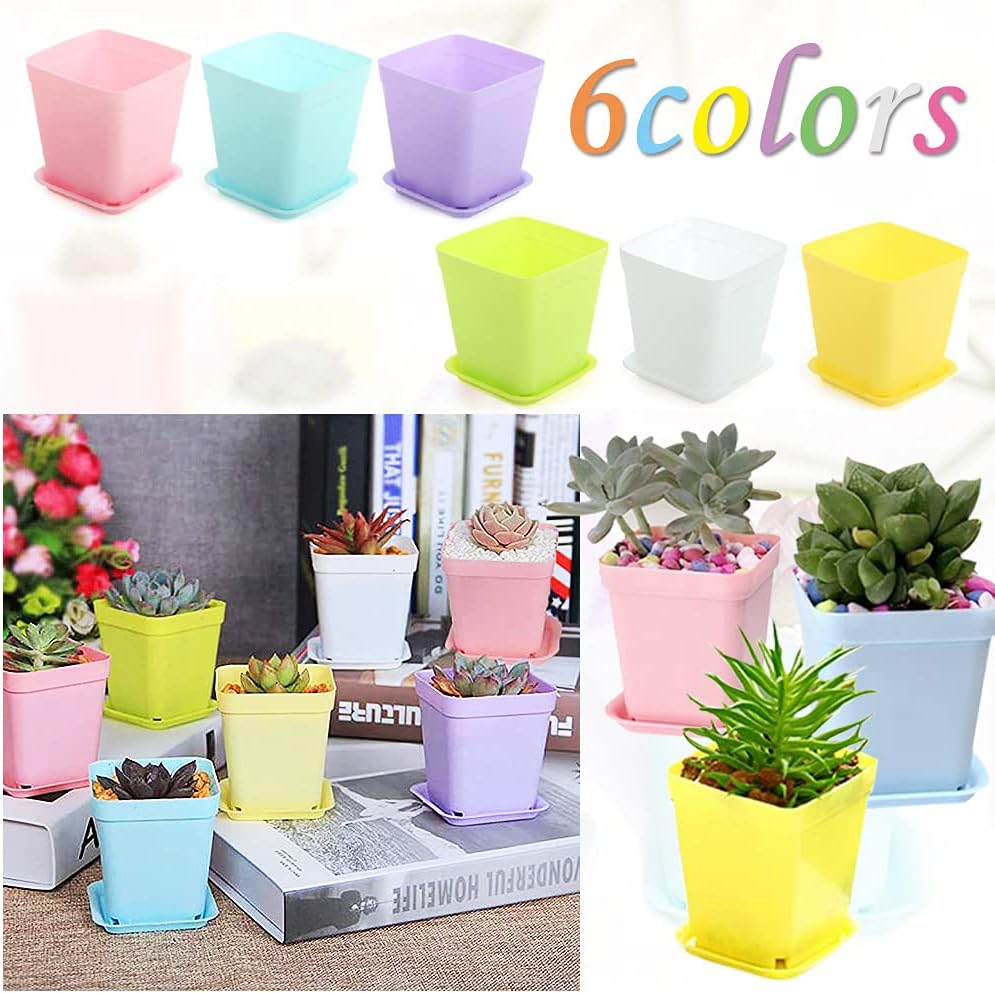 Haawooky 24 Pack Colorful Flower Pots Square Plastic Plant Pots Succulent Planter Nursery Pots with Saucers for Your Room