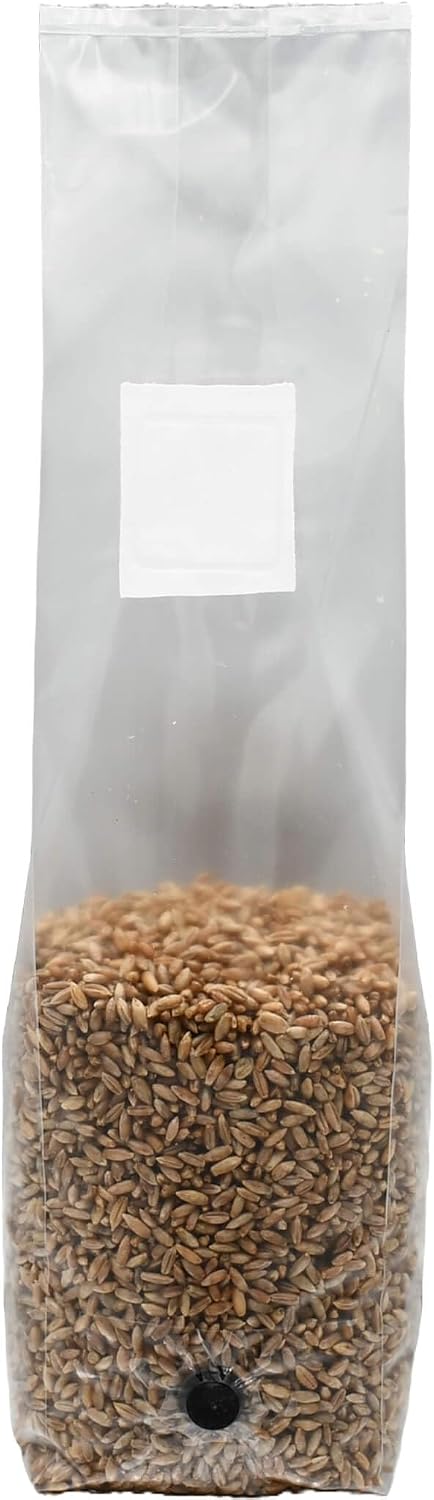 2 Pound Bag of Sterilized Rye Berries Mushroom Substrate with Self Healing Injector Port