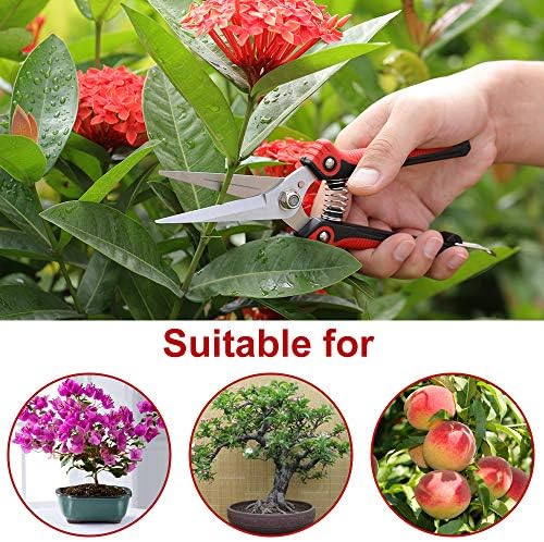 WYF Pruning Scissors, Professional Garden Shears - Straight Stainless Steel Blades - Sharp Gardening Hand Pruner for Garden Harvesting Fruits