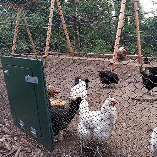 Fencer Wire 20 Gauge Black Vinyl Coated Poultry Hex Netting with 1 inch Mesh (6 ft. x 150 ft.)