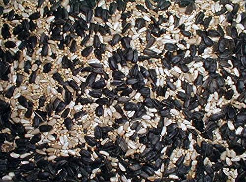 Premium Wild Bird Seed Mix - High Protein Bird Food for Outside Feeders - No Fillers, Includes Sunflowers, Safflower, Millet - Ideal for Cardinals, Songbirds & More - 25lbs