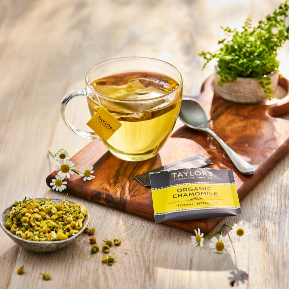 Taylors of Harrogate Green Tea with Lemon, Individually Wrapped Bags, 20 Count (Pack of 1), Citrussy, Mellow and Light, Caffeinated, Enjoy Hot or Iced, 20 Teabags