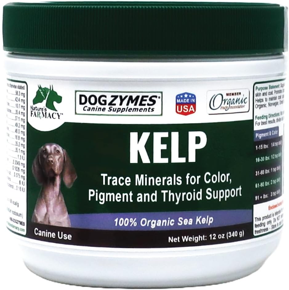 Dogzymes Organic Norwegian Kelp for Pets, a Valuable Nutrition Source Rich in Iodine to Support Gland Function, Especially The Thyroid (3 Pound)