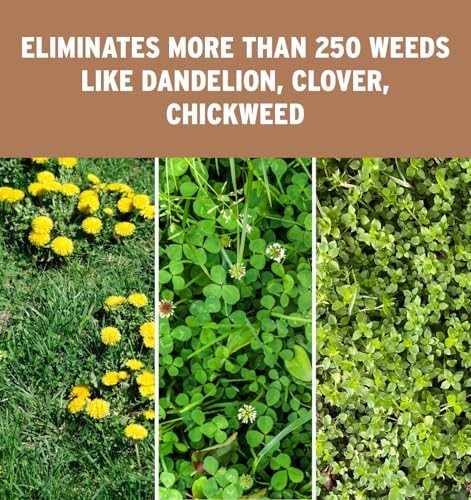 The Andersons Professional Surge Weed and Feed 16-0-9 Post-Emergent Weed Control and Fertilizer - Covers up to 16,000 sq ft (40 lb)