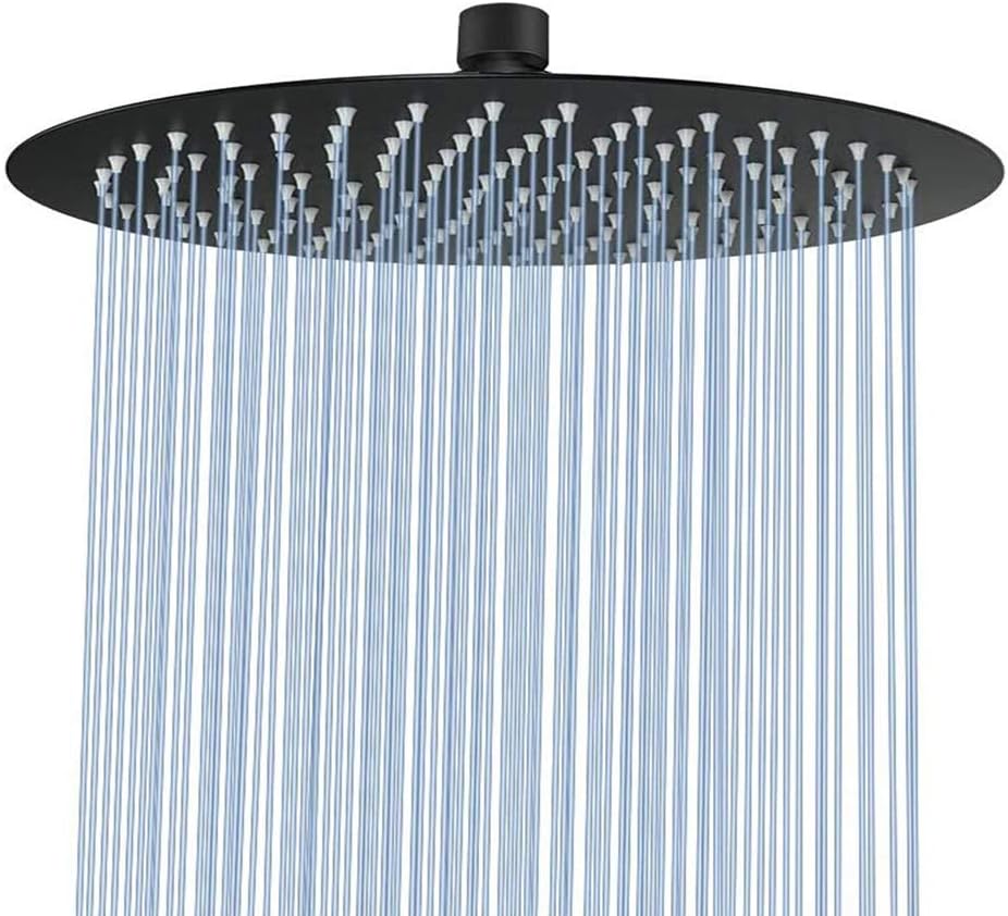 NearMoon Rain Shower Head, Ultra-Thin Design-Pressure Boosting, Awesome Some Experience, High Flow Stainless Steel Rainfall Head (10 Inch