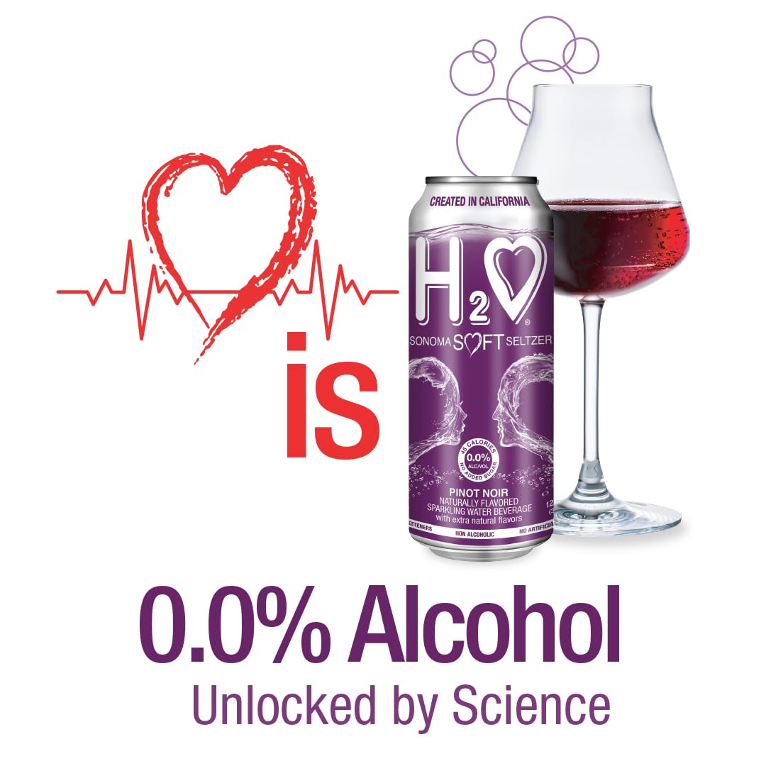 H2o - The Best Non Alcoholic Red Wine - Infused California Sparkling Refreshment, 0.0% Alcohol, (Pinot Noir, Pack of 4-12 Fl oz)