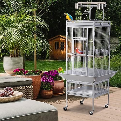 Nova Microdermabrasion 68-Inch Height Wrought Iron Standing Large Play Top Bird Cage for African Grey Small Quaker Parrot Cockatiel Sun Parakeet Green Cheek Conure Dove Budgie Lovebird