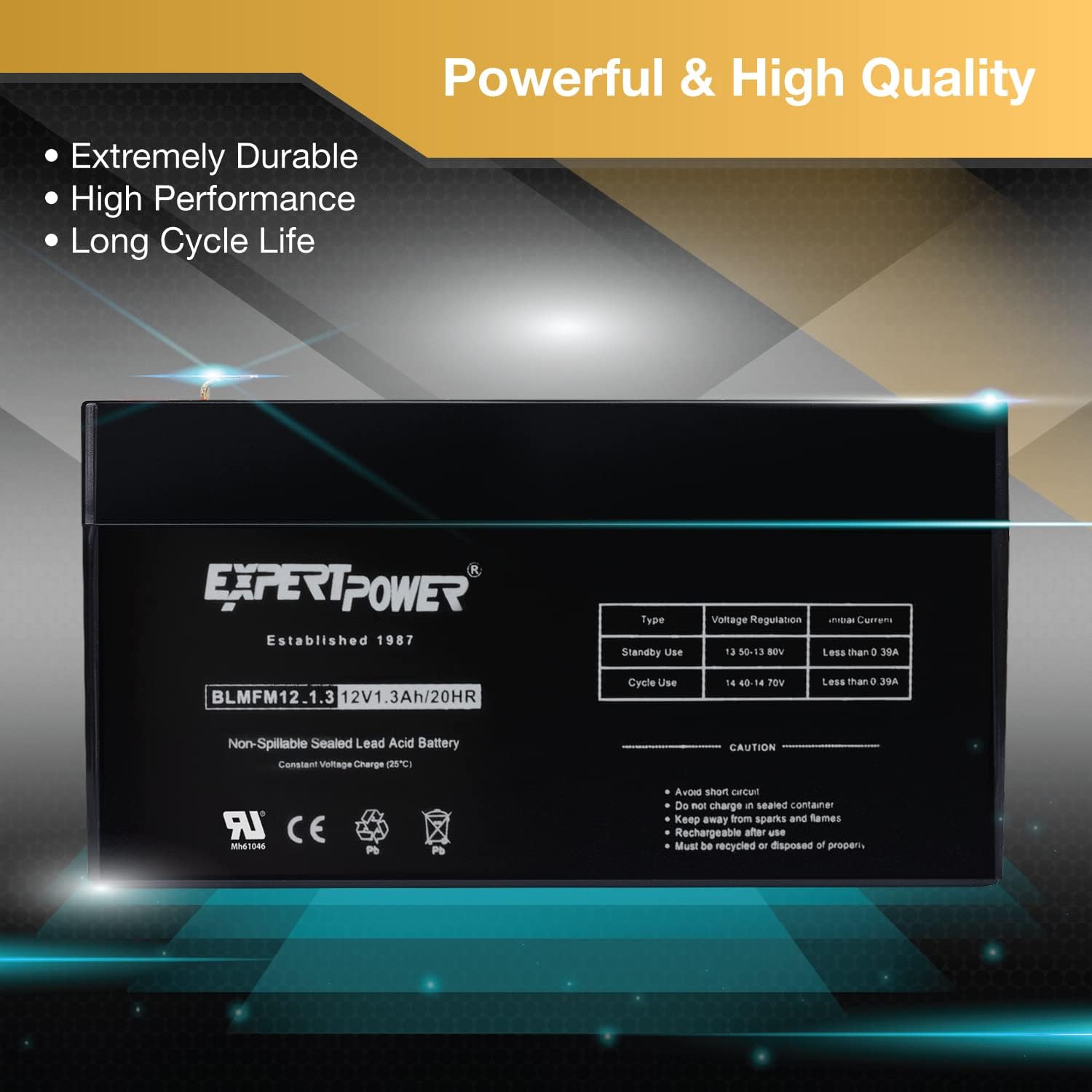 ExpertPower EXP1213-1.3Ah 12V Battery Rechargeable SLA AGM with F1 Terminals, Sealed Lead Acid Small 12 Volt Battery Replacement Backup for Auxiliary