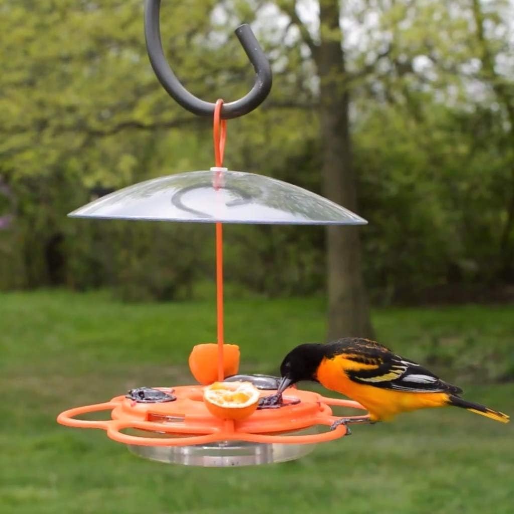 Nature's Way OFM1 Wire Oriole Feeder