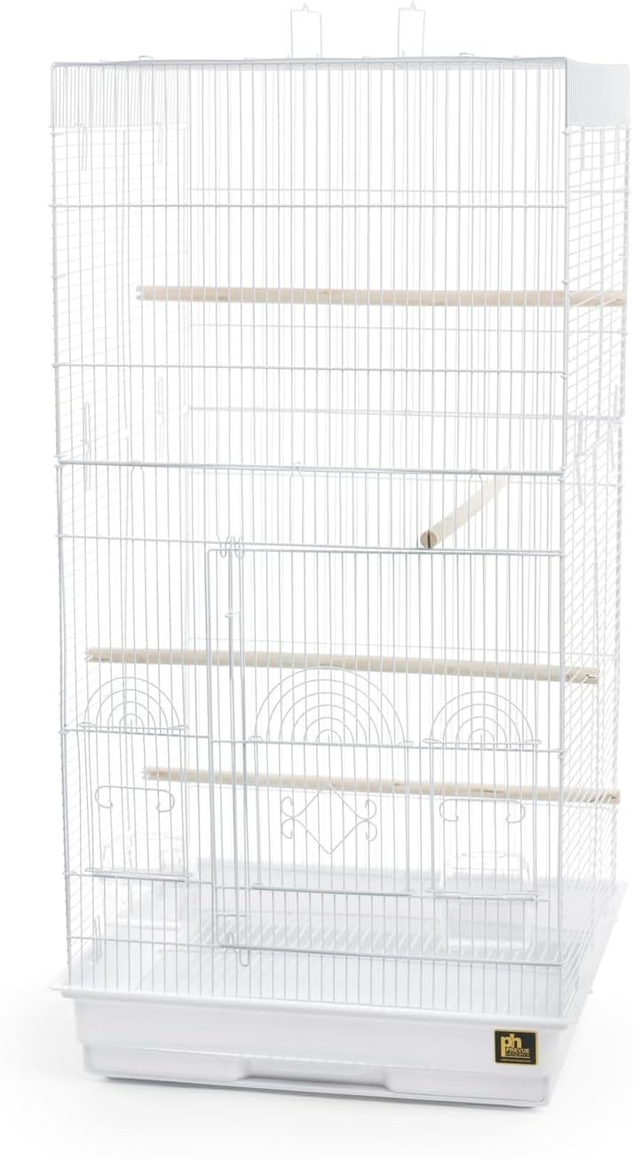 Prevue Pet Products SPECONO1818H-SG Tall Tiel Cage, Sage Green
