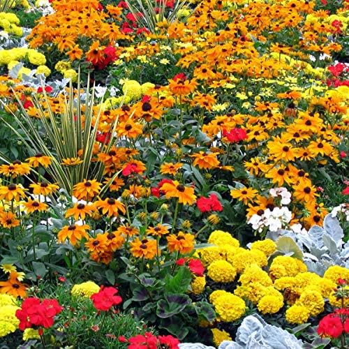 25 Heirloom Flower Seed Packets for Planting: 20+ Varieties Flower Seeds - Forget Me Not, Sunflower, Marigold, Zinnia Lilliput, Snapdragon