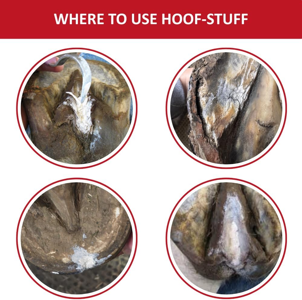 Red Horse Products Hoof-Stuff 290g, hoof Pack - cleanses and Protects