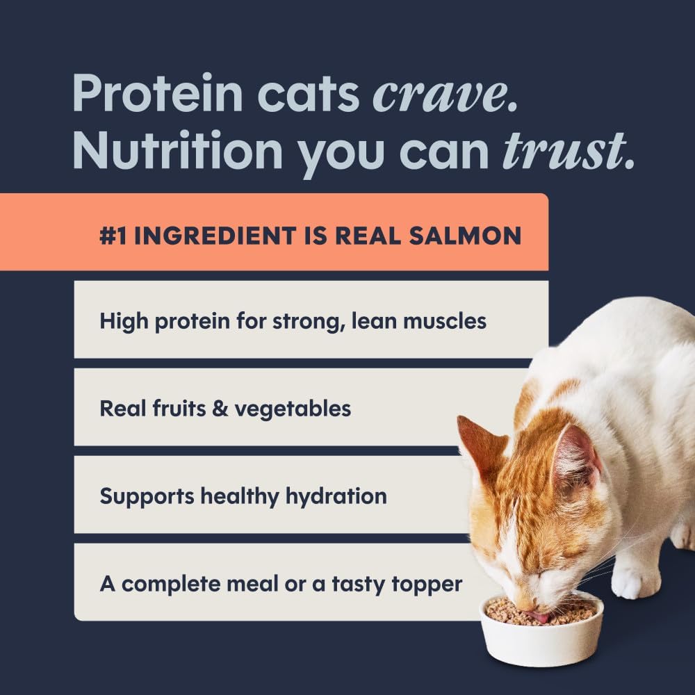 Instinct Original Grain Free Real Rabbit Recipe Natural Wet Canned Cat Food, 3 oz. Cans (Case of 24) | Rich & creamy pate texture, high protein, real rabbit, whole-food ingredients, grain-free, hydration support