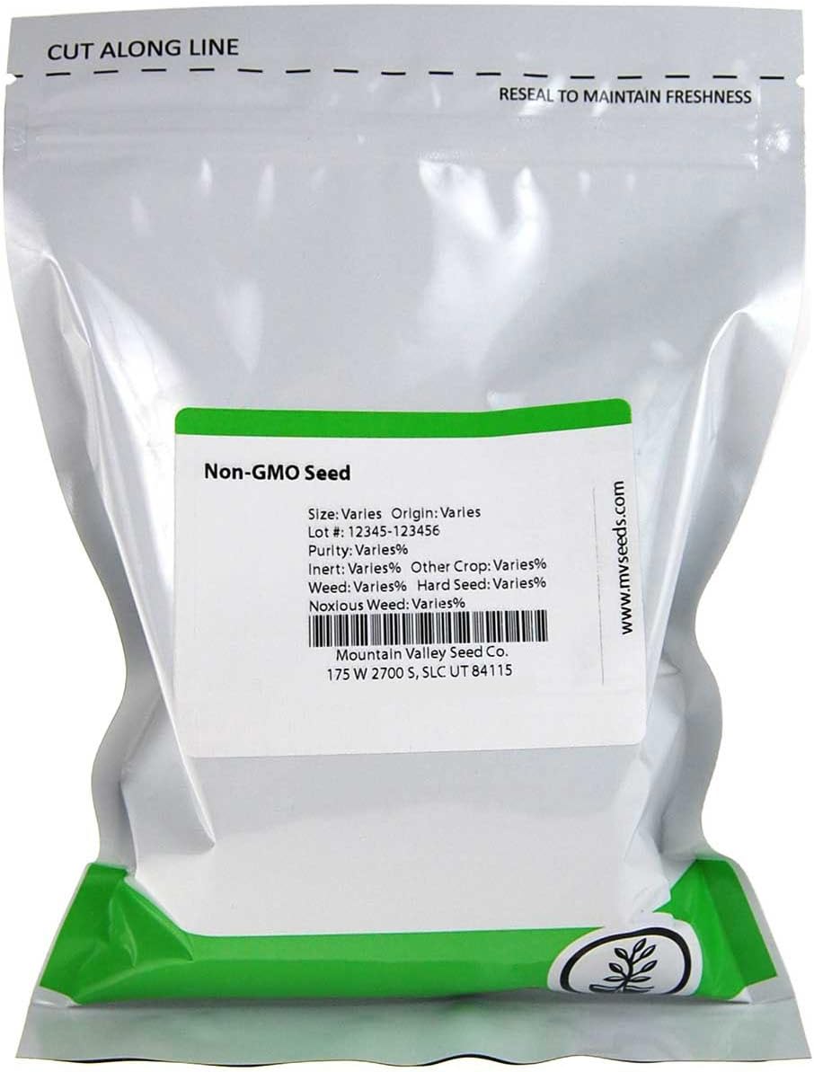 Mountain Valley Seed Co Buckwheat Seeds - 25 Lb Bulk ~300,000 Seeds