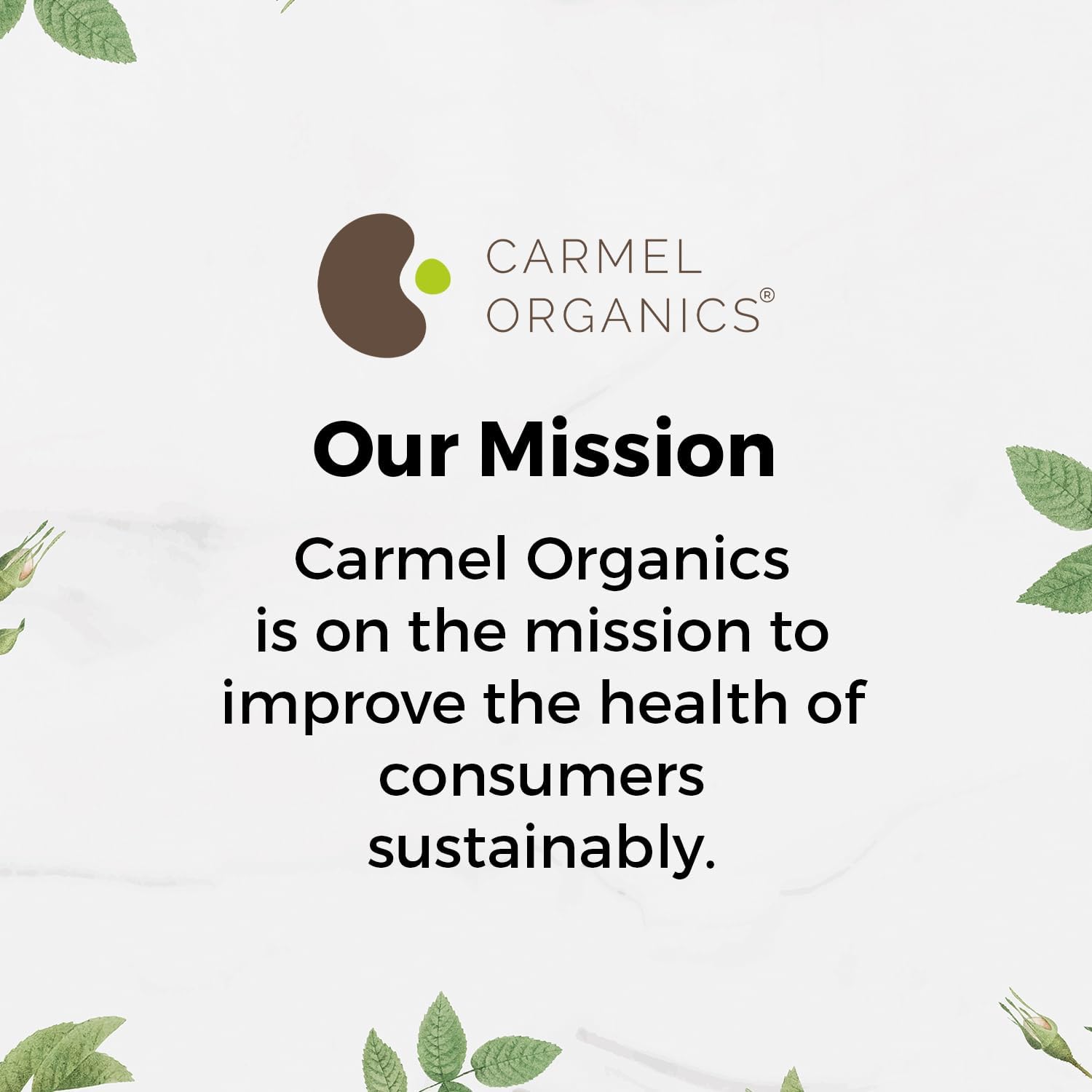 CARMEL ORGANICS Organic Ashwagandha Root Powder 8 Ounce