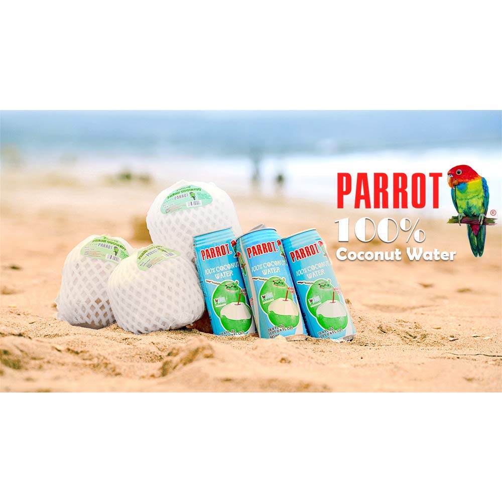 Parrot Brand Coconut Water No Pulp 490ml 16.6 fl. oz.100% Juice Refreshing Coconut Taste Natural Essential Plant Based Non-GMO Electrolytes
