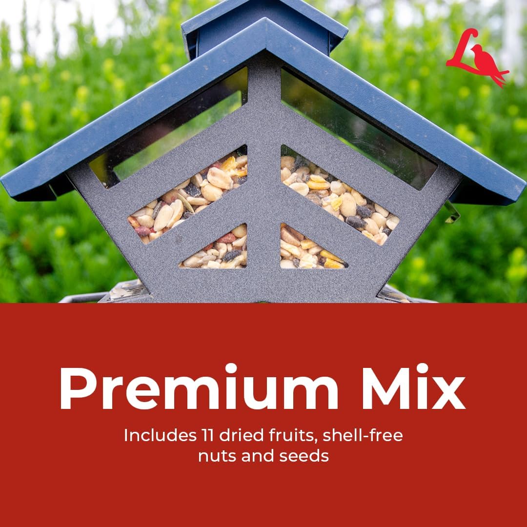 Lyric Fruit and Nut Wild Bird Seed - High Energy Wild Bird Food Mix - Attracts Woodpeckers, Chickadees & Other Songbirds -5 lb. Bag | Attracts Woodpeckers, Chickadees and other songbirds