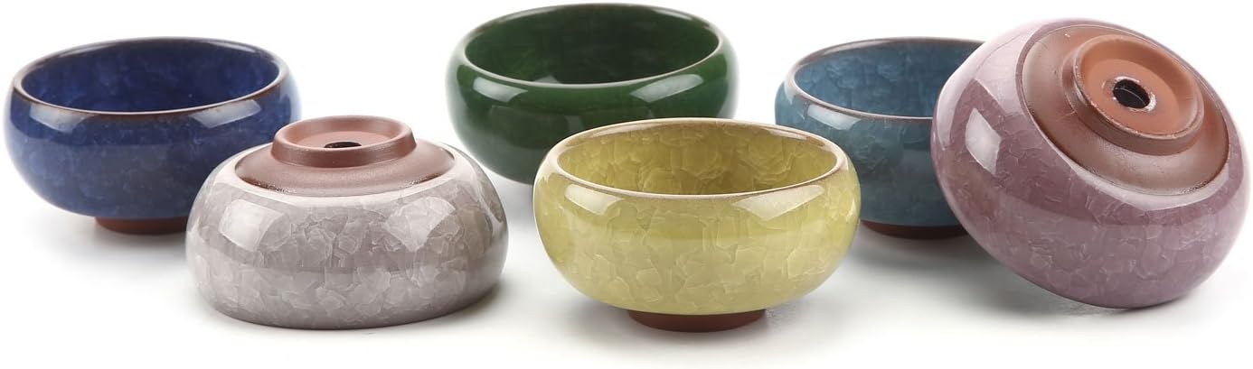 T4U 2.5 Inch Small Ceramic Succulent Planter Pot with Drainage Hole Set of 6, Ice Crack Glaze Plant Container for Cactus, Gardening Plant Gifts for Women Mom Aunt Home Office Decor | Cactus planters set, indoor herb garden, bonsai tree starter, tabletop…