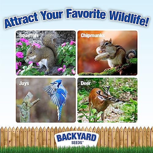 CountryMax Backyard Seeds Squirrel & Chipmunk Food Mix – 8 lb Bag – Premium Wildlife Blend with Sunflower Seeds, Peanuts & Corn – Ideal for Squirrels, Chipmunks, Rabbits & Backyard Birds​