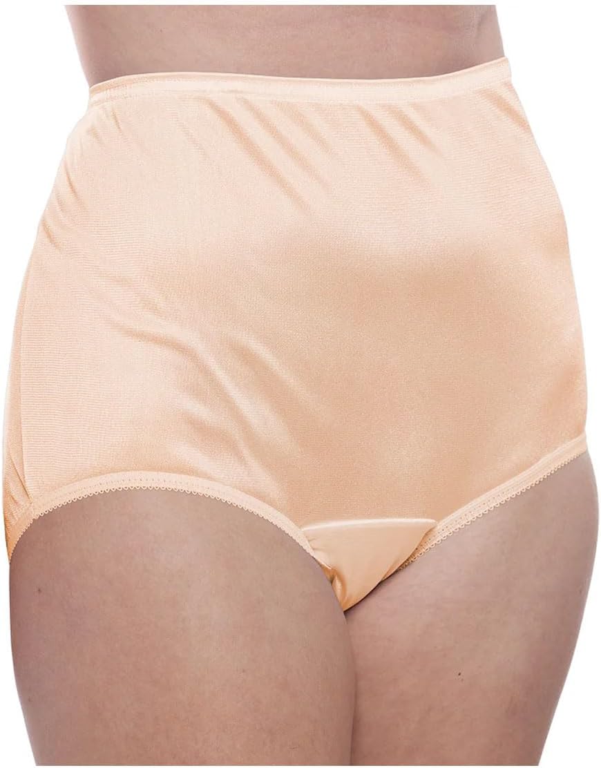 Teri Women's 331 Plain Jane Classic Nylon Silky-Smooth Lightweight Breathable Full Coverage Brief Panty - 4 Pack