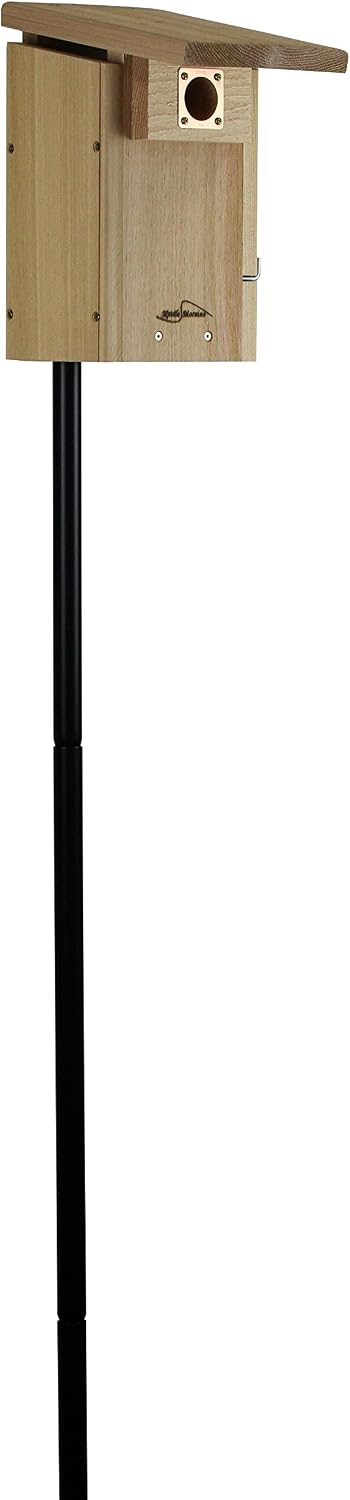 Cedar Super Bluebird House with Steel Pole Package (1)